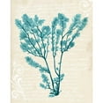 thumbnail image 3 of Popp, Grace 12x14 Black Modern Framed Museum Art Print Titled - Teal Seaweed V, 3 of 5