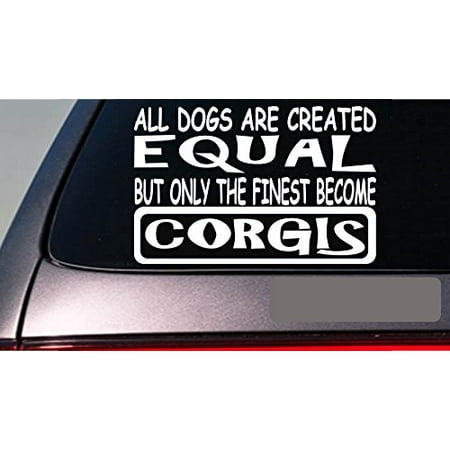 Corgis all dogs equal 6