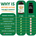 thumbnail image 6 of Mother Nature Organics Black Seed Oil Capsules 2000mg – 180 Softgels | Supports Heart, Immune & Digestive Health | Promotes Hair & Nail Strength, 6 of 11
