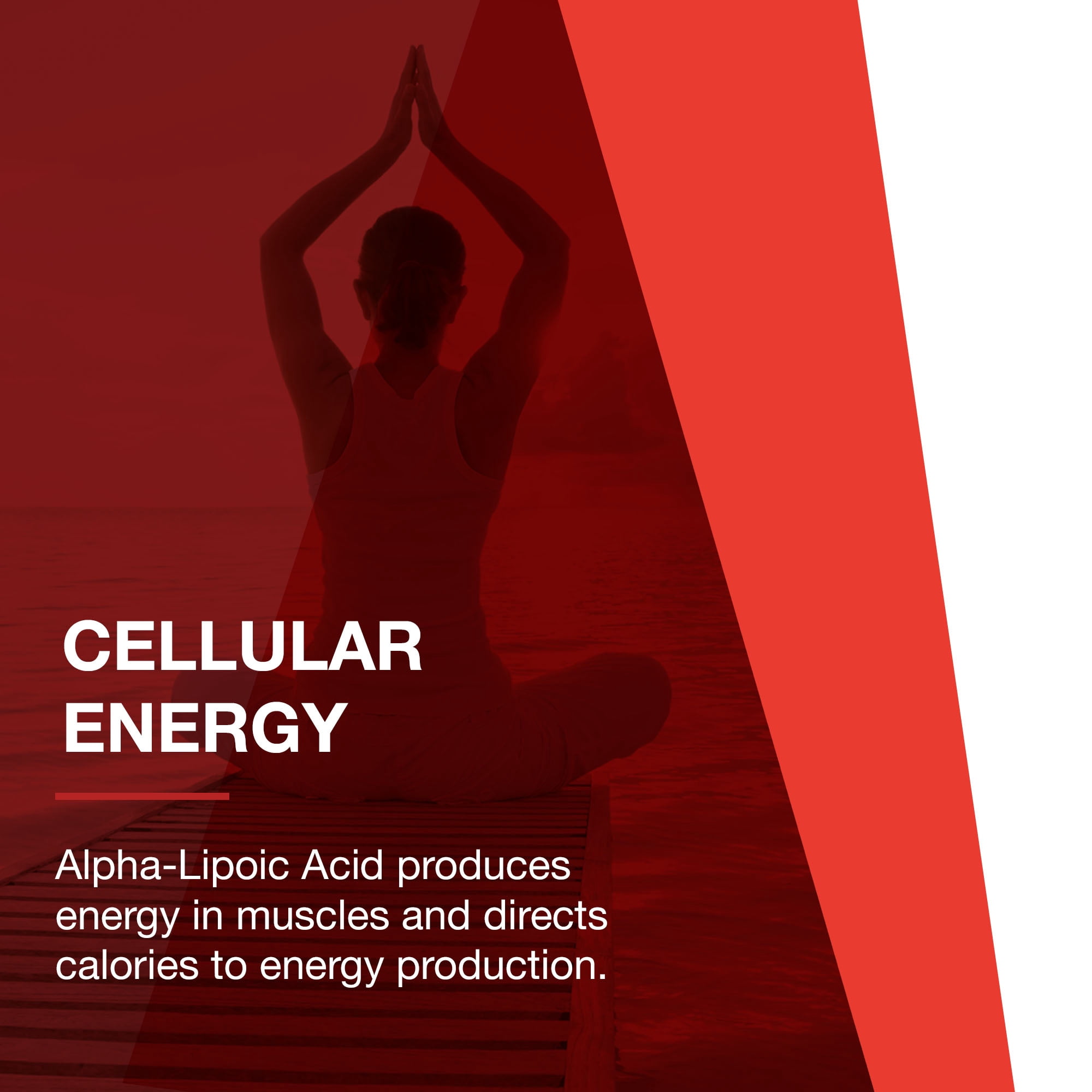 Protocol Alpha-Lipoic Acid 250mg - ALA - Glutathione Production Supplement - 90 Veg Caps