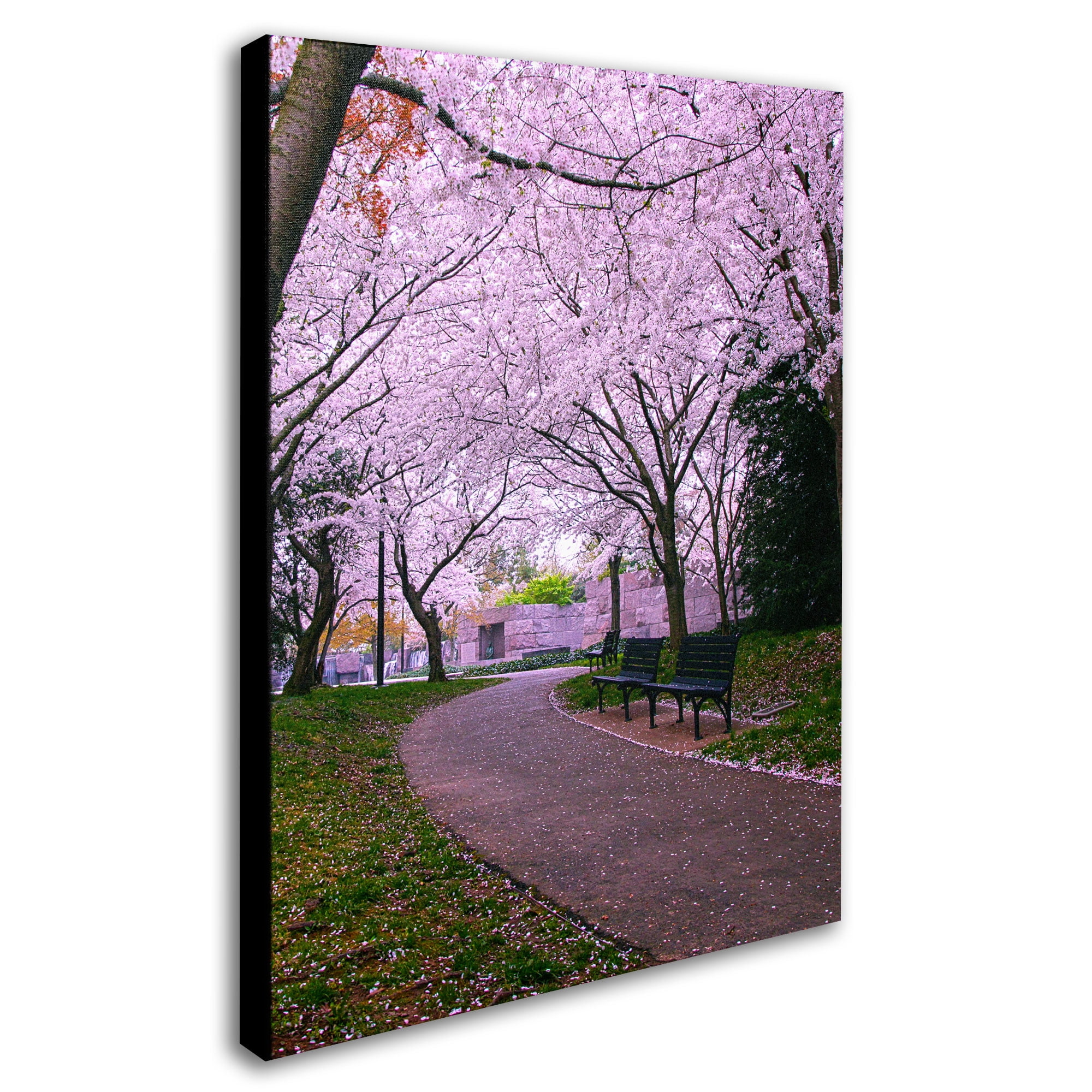 Trademark Fine Art "The Hope" Canvas Art by CATeyes