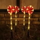 thumbnail image 3 of Bewildely Light Solar Garden Patio Lámpara de césped Pathway Candy Night Paisajismo Iluminación Decoración Suelo Inserción Recargable Iluminación y accesorios Rojo Bewildely HA072962-02, 3 of 6