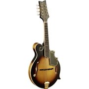 F-Style Series Solid Top Acoustic-Electric Mandolin with Bag