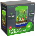 thumbnail image 1 of Kit de terrario Dan&Darci Light-Up con luz LED para niños de 6 a 12 años, 1 of 9