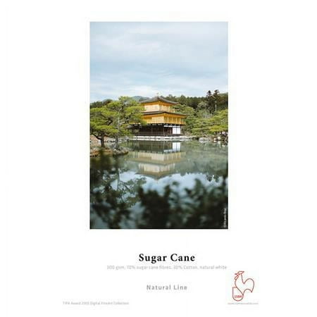 UPC: 4011367116804 | Sugar Cane Paper  300gsm  13×19   25 Sheets