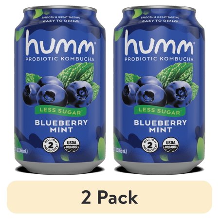 (2 pack) Humm Kombucha Tea, Blueberry Mint, Probiotic, Organic, 12oz Can