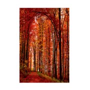 Trademark Fine Art Philippe Sainte-Laudy The Red Way Canvas Wall Art - 16x24