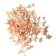 thumbnail image 1 of Flores De Colores Para Horquilla Pequeñas Orquídeas De Ensueño Muebles Decoración Para El Suelo Flores Material Floral Para Hoteles B, 1 of 7