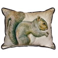 thumbnail image 3 of Betsy Drake SN314 11 x 14 in. Squirrel Small Indoor & Outdoor Pillow, 3 of 3