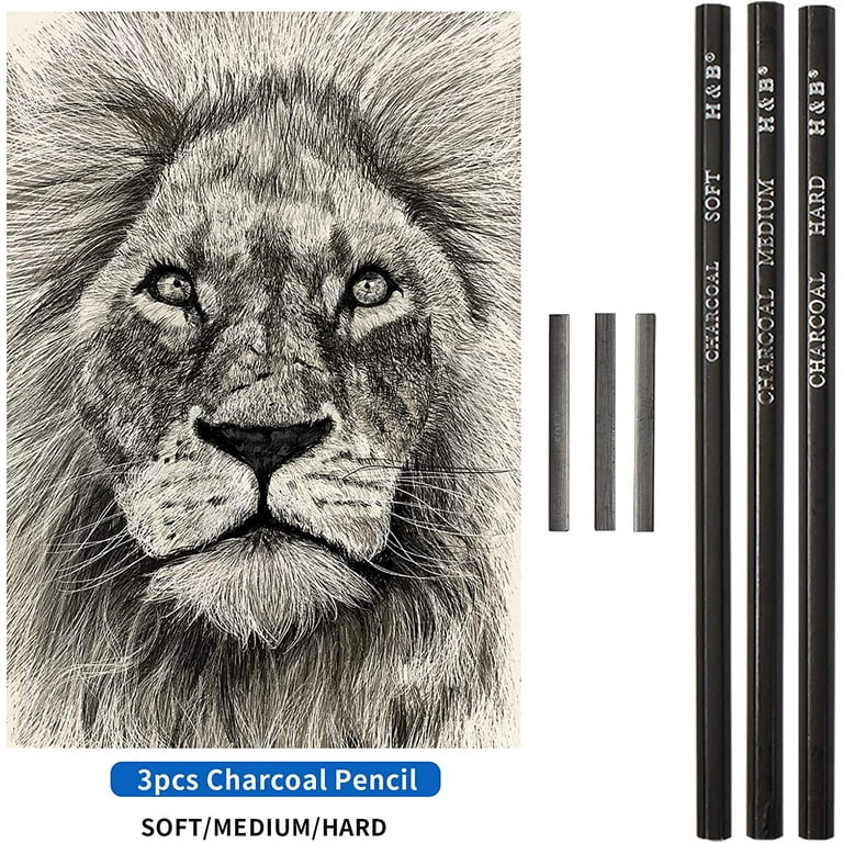 96 Pcs Premium Artists Drawing Pencil Set Art Pencil Kit in