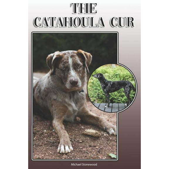 The Catahoula Cur: A Complete and Comprehensive Owners Guide To: Buying, Owning, Health, Grooming, (Paperback) by Michael Stonewood