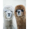 thumbnail image 3 of Two lamas - 24"x36" canvas - Print on demand, 3 of 5