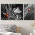 thumbnail image 3 of wall26 3 Panel Canvas Wall Art - Selective Color Photo of The Red Ladybug - Giclee Print Gallery Wrap Modern Home Art Ready to Hang - 16"x24" x 3 Panels, 3 of 5