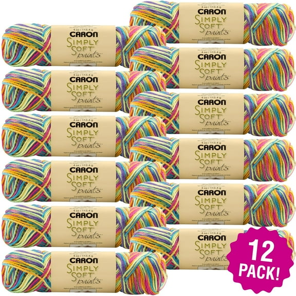 Caron Simply Soft Paints Yarn 12/Pk-Rainbow Bright