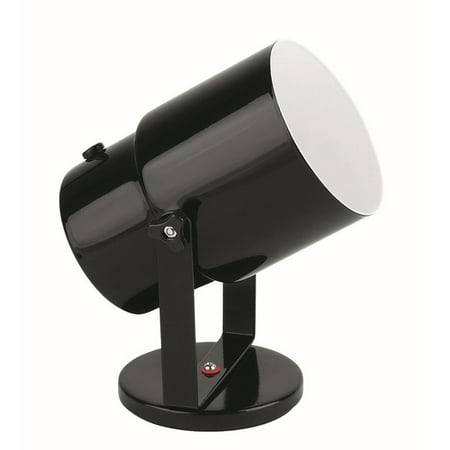 Lite Source Pin-Up Spot Light in Black