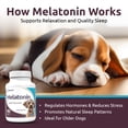 thumbnail image 4 of K9 Select Melatonin Tablets for Dogs, Beef Flavor, 180 Count, 4 of 7