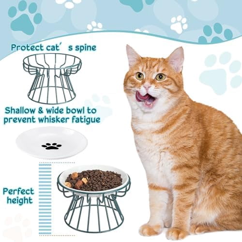 4 Sets Elevated Cat Bowls Ceramic Raised Cat Food Bowls with Metal Stand Dishwasher Safe Dishes Non Slip Elevated Food Plate(Black, Green,Fishbone, Paw)