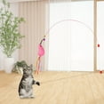 thumbnail image 3 of Kitten Toy Wire Teaser Interactive Chaser 745 cm Zulema Varita mágica de gato, 3 of 8