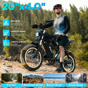 Electric Bike for Adults,Peak 1500W 28MPH,48V 20AH Electric Bicycle,30-80 Miles,20'' Fat Tire E-Mountain Bike with Rear Rack