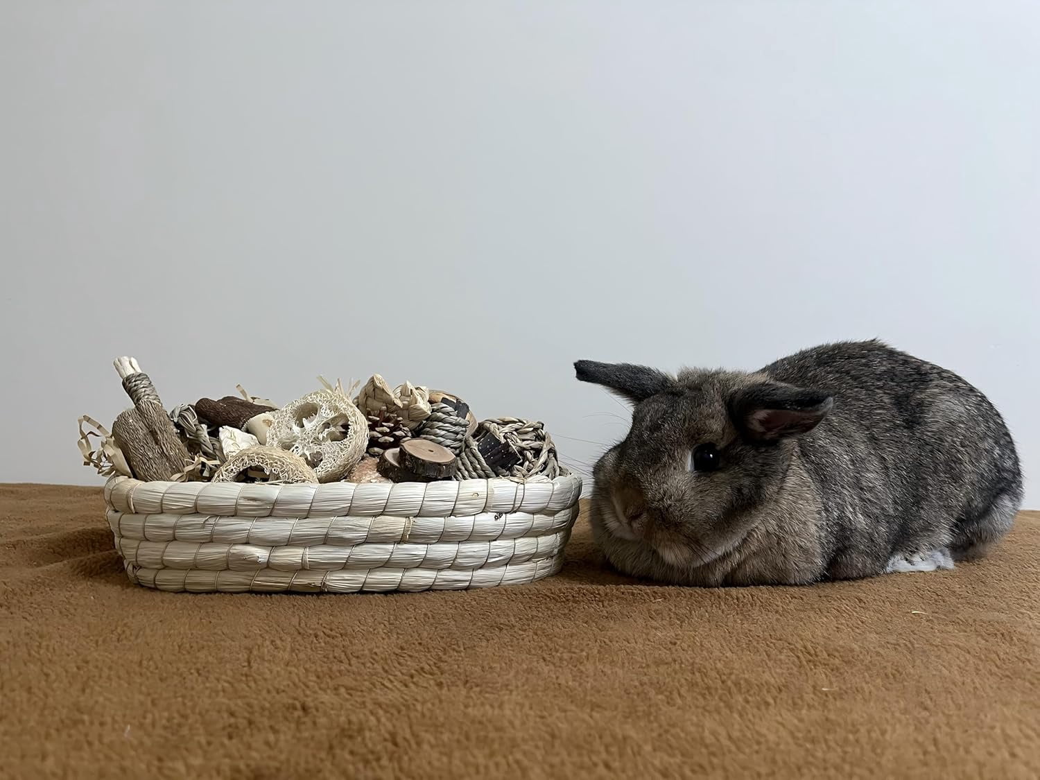 31PCS Rabbit Chew Treat Toys for Teeth Health, Natural Bunny Enrichment Toys for Boredom & Stress Relief, Keep Busy Toys for Guinea Pig Chinchilla Hamster Rat Gerbil Degu Indoor Outdoor