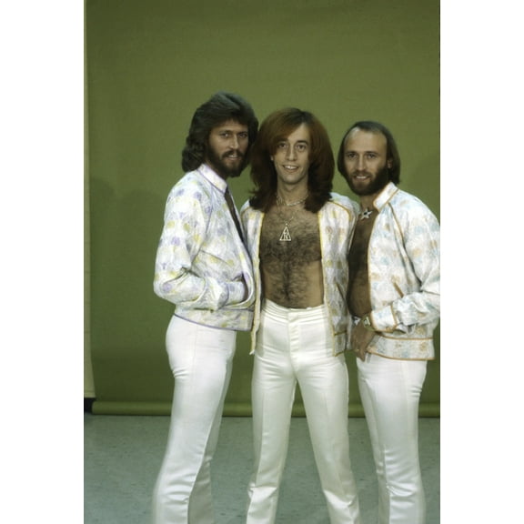 the Bee Gees Photo Print (24 x 30)