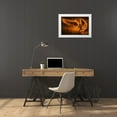 thumbnail image 3 of Kiciak, Christophe 18x13 White Modern Wood Framed Museum Art Print Titled - Fiery, 3 of 4