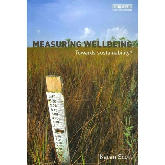 Measuring Wellbeing: Towards Sustainability? (Paperback)