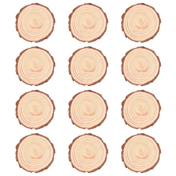 HAKIDZEL Wood Slices Natural Wood 12Pcs 3.1In Round Unfinished