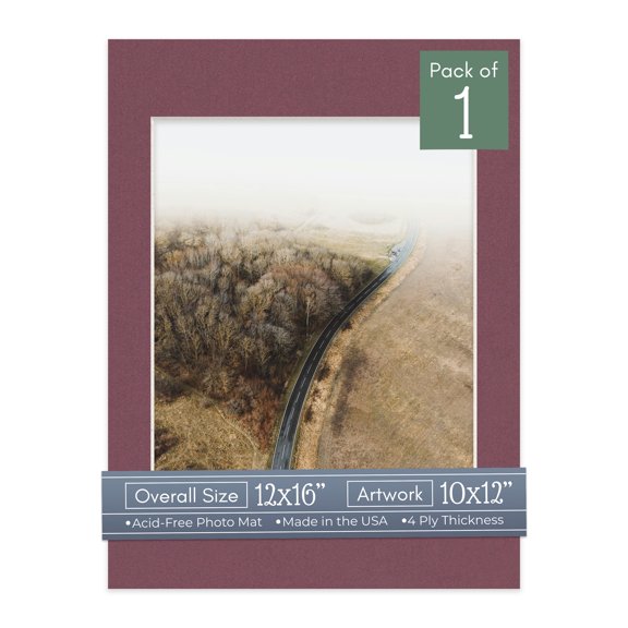 Raspberry Red Picture Frame Mat for 12x16 Frames - Fits 10x12 Photos - 1 Mat