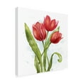 thumbnail image 2 of Jade Reynolds 'Red Tulip Splash II' Canvas Art, 2 of 3