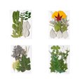 thumbnail image 3 of Bearachild Hoja seca natural DIY Arte hecho a mano Planta en relieve Hojas prensadas Decoración Hogar Decorativo para tarjetas de boda de resina Type3 NO3 Bearachild HA010772-04, 3 of 6
