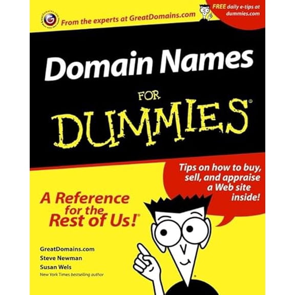 Pre-Owned Domain Names for Dummies? (Paperback) 0764553178 9780764553172