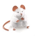 thumbnail image 1 of Marioneta de mano Folkmanis Mouse blanca, 1 of 3