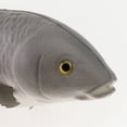 thumbnail image 3 of Modelo de artificial para decoración de acuario de agua - 2 Gris grande Yotijar Carpa Artificial Realista, 3 of 5