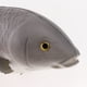 thumbnail image 3 of Adorno de carpa artificial realista para niños. Gris grande, 3 of 5