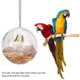 thumbnail image 2 of RV Bola de alimentación de plástico extraíble, accesorio para jaula de pájaros, bola de alimentación transparente para pájaros, PJMiquito, gris, Africano, cacatúa, pJMiquito, 2 of 5