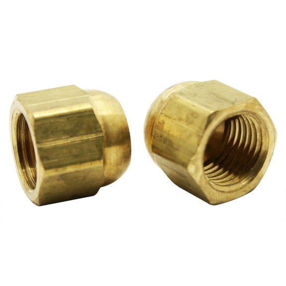 Thrifco 4401302 40 5/16 Inch Brass Flare Cap - 2/Pack