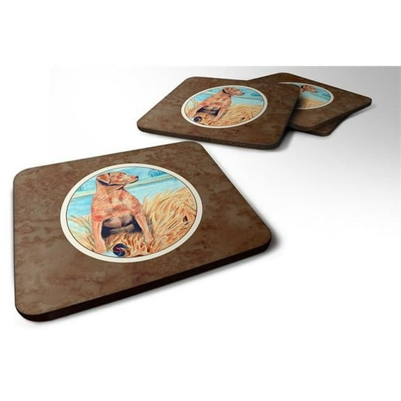 Chesapeake Bay Retriever Foam Coaster, Set of 4