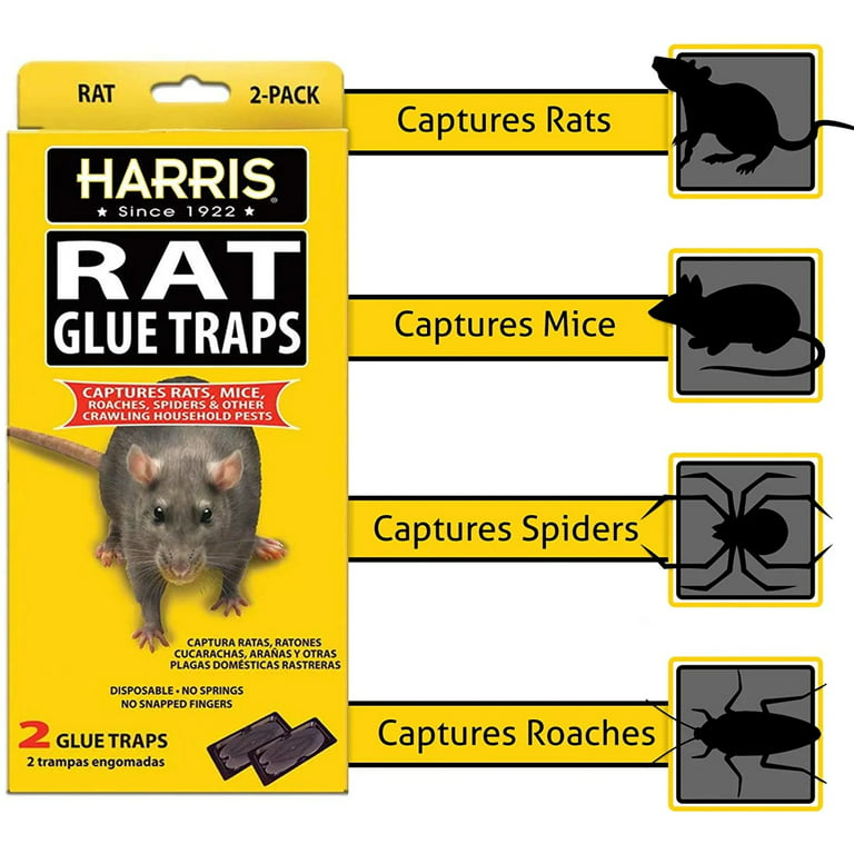 Harris Rat and Mouse Glue Trap Super-Size (5-Pack) 5BLKRAT-1 - The
