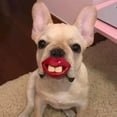 thumbnail image 5 of Pet Toys Funny Dog Pacifier Silicone Chew Toy for Teething and Oral Health Care | Durable Training for Indoor and Outdoor Play, 5 of 6