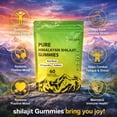 thumbnail image 3 of DEZEN Pure Himalayan Shilajit Gummies 3000mg with Ashwagandha 60 Count 180g Healthcare Supplement for Immunity Boost, 3 of 12