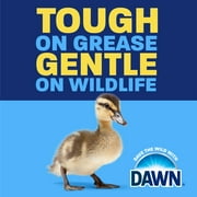 (6 pack) Dawn Ultra, Dishwashing Liquid, Original Scent, 18 Fl oz