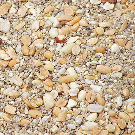 BestNest Wild Bird Seed Mix, Waste Free Blend, 50 lbs | Premium No-Waste Bird Seed for Wild Birds | Clean, Shell-Free Mix with Sunflower Hearts, Peanuts & Millet | 50 lb Bulk Bag for Feeders & Yards