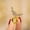 Yellow, variant on Women Crystal Cute Bird Brooches for Luxury Creative Personality Animal Brooch-Yellow