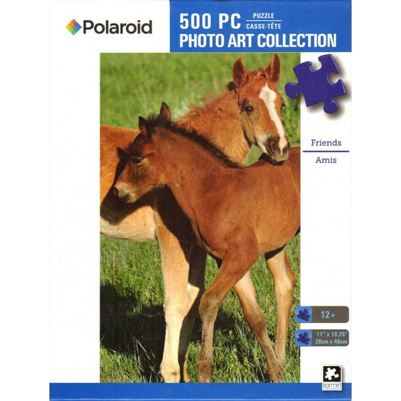 Friends 500 Piece Puzzle