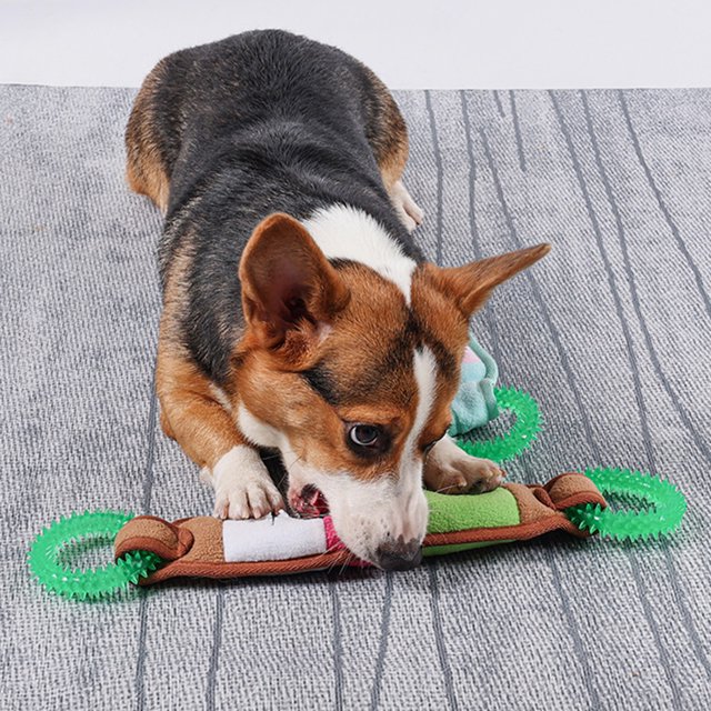 Paokuoon Jouet Anti-Fuite de Nourriture pour Animaux Jouet Anti-Fuite de Nourriture pour Animaux avec Son Intégré Jouet Interactif à Renifler pour Chien Jouet Résistant à l'Usure pour Animaux