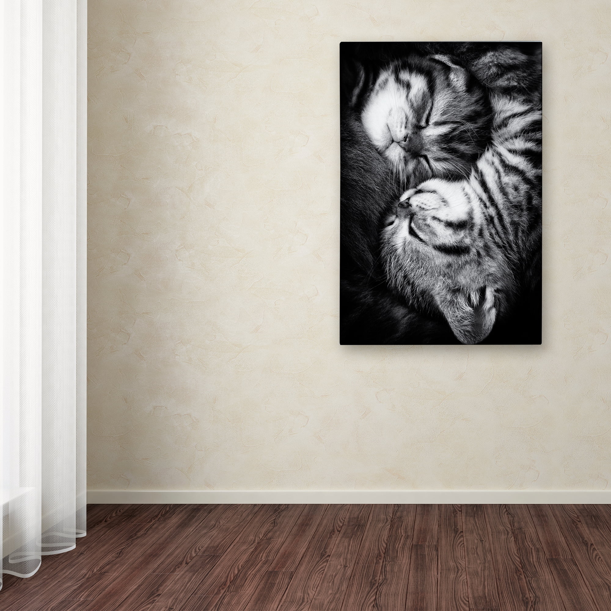 Trademark Fine Art 'Yin And Yang' Canvas Art by Andrea Jancova