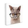 thumbnail image 3 of Stupell Cat Face Hipster Glasses Animals & Insects Painting Gallery Wrapped Canvas Print Wall Art, 3 of 7