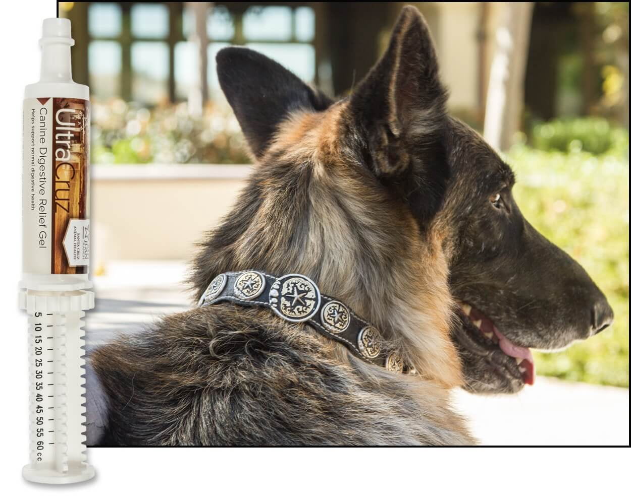 UltraCruz® Canine Digestive Relief Gel, 60 ml