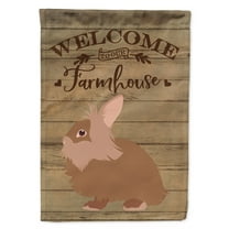 Caroline's Treasures CK6904GF Lionhead Rabbit Welcome Flag Garden Size , Small, multicolor